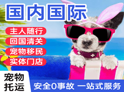 邯郸航空邮寄国际宠物托运 【国
